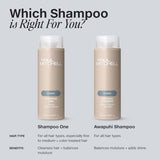 Paul Mitchell Awapuhi Shampoo, Balances Moisture + Adds Shine, For All Hair Types, Especially Fine + Static-Prone Hair