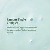 Paul Mitchell Tea Tree Special Shampoo