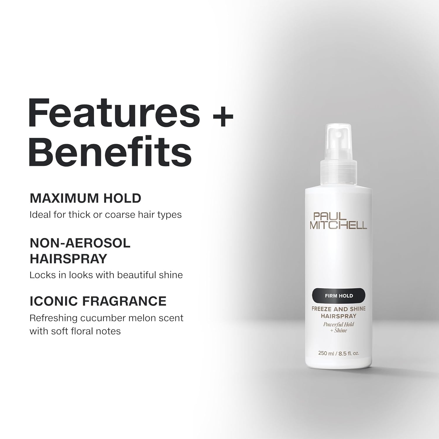 Paul Mitchell Firm Style Freeze and Shine Super Spray