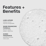 Paul Mitchell Awapuhi Shampoo, Balances Moisture + Adds Shine, For All Hair Types, Especially Fine + Static-Prone Hair