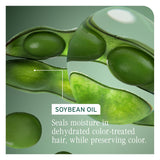 Matrix Biolage ColorLast Shampoo