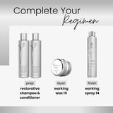 Kenra Platinum Working Spray 14