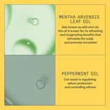 Nioxin System 1 Scalp Therapy Conditioner for Fine/Normal to Light Thinning, Natural Non Color-Treated Hair