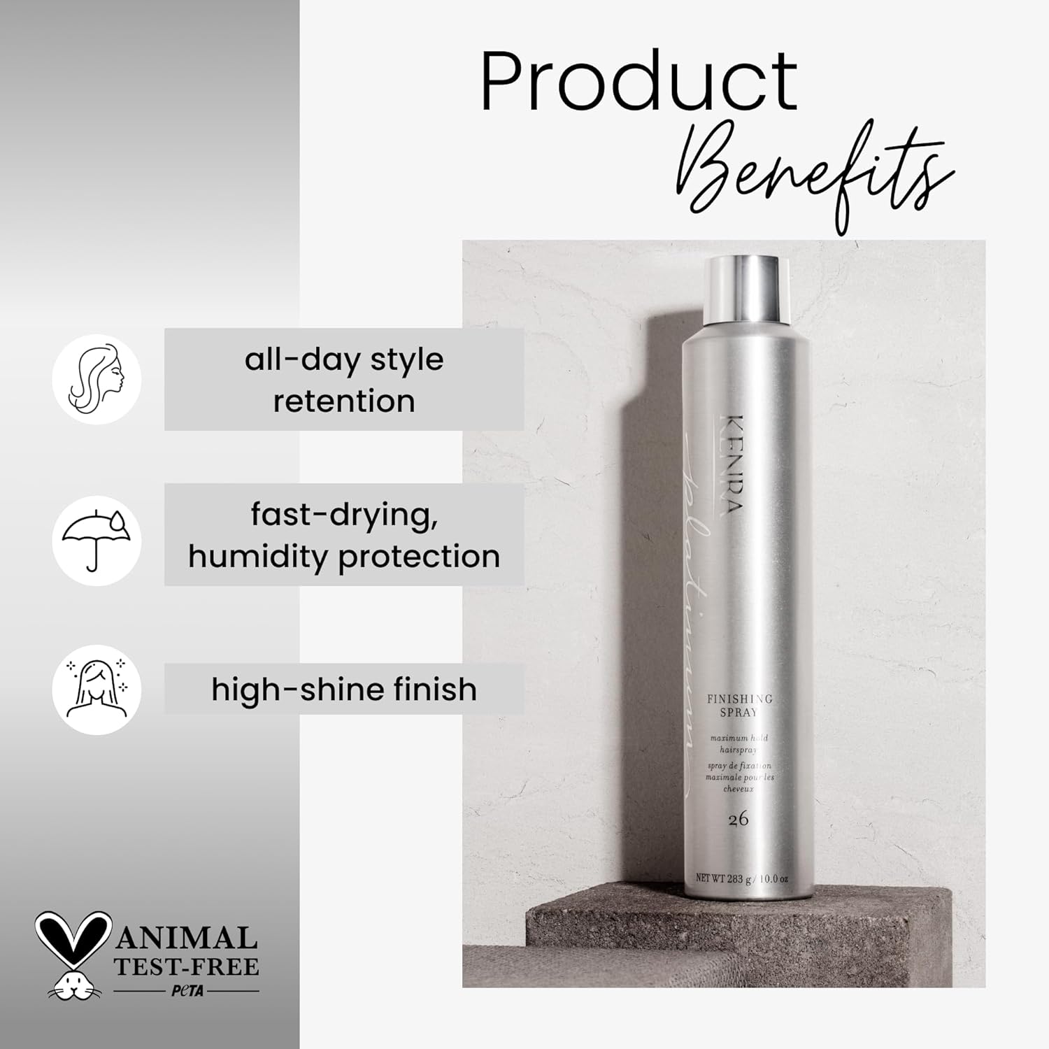 Kenra Platinum Finishing Spray 26