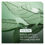 Matrix Biolage Scalp Sync Universal Conditioner