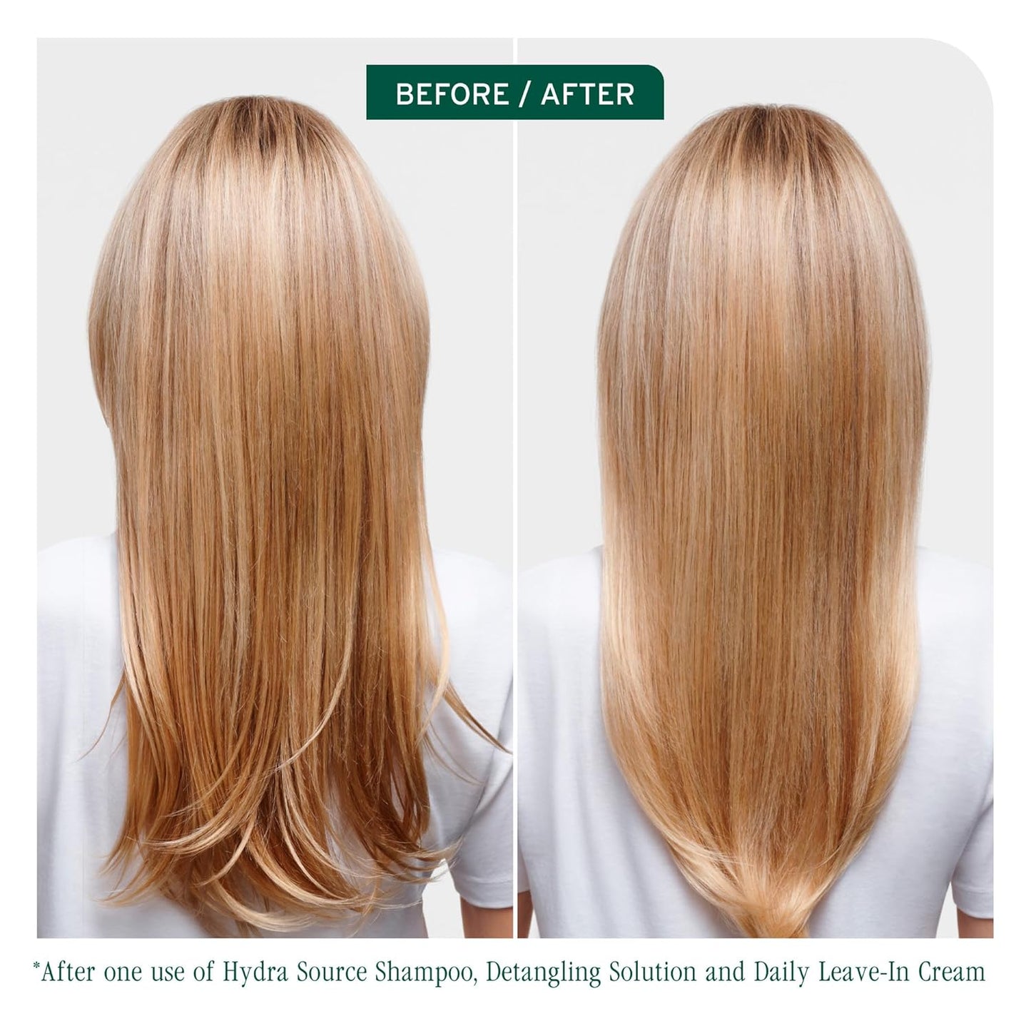 Matrix Biolage HydraSource Detangling Solution