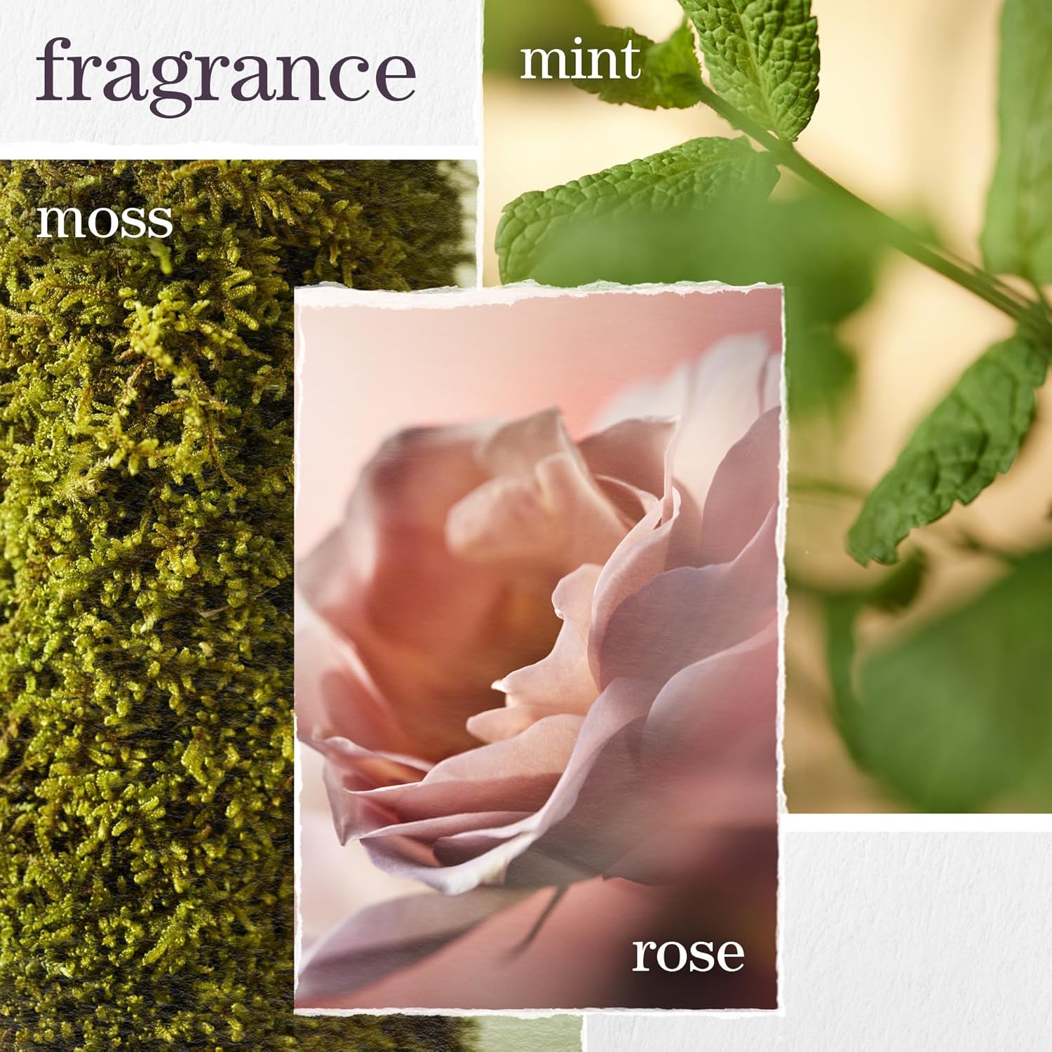 Pureology Hydrate Conditioner