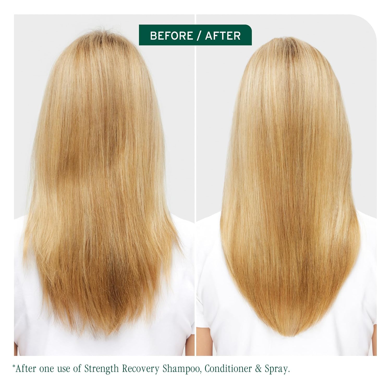 Matrix Biolage Strength Recovery Conditioner