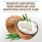 BioSilk Silk Therapy with Natural Coconut Oil Moisturizing Shampoo