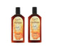 Agadir Argan Oil Daily Moisturizing Shampoo and Conditioner DUO