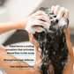 TRENDSTARTER TEA TREE & BIOTIN THICKENING SHAMPOO & CONDITIONER DUO